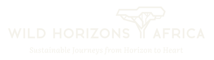Wild Horizons Africa